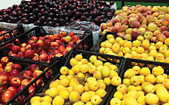 Fresh Fruits Dominik Dobrosz food