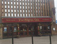 The Pilgrim Oak outside