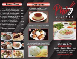 Pho Village food