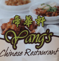 Yang's food