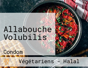 Allabouche Volubilis