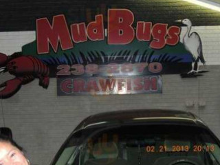 Mud Bugs Of Leesville