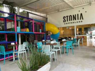 Stonia Ice Creamland