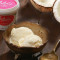 Tender Lovin Coconut Sugar Free Ice Cream (500ml)