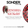 Kenosha Kickers