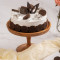 Oreo Chocolate Mini Cake