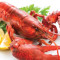 Lobster (Live Lobster) 1.25LB
