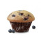 Muffin Bleuets [430.0 Cal]