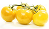 żółte pomidory z wiśni