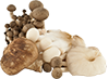 Mieszanki grzybów